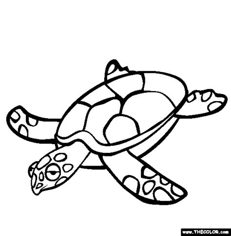 animal coloring pages turtle coloring pages