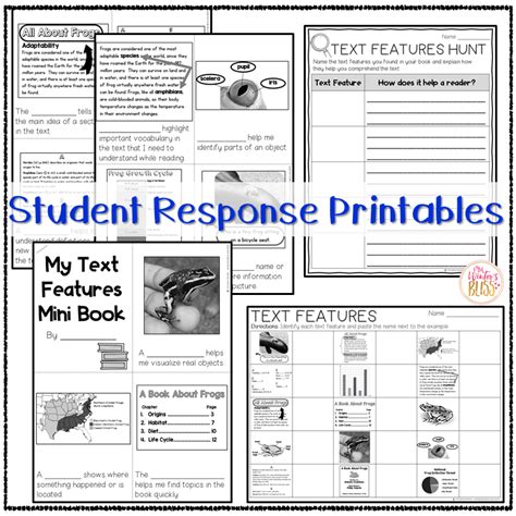 nonfiction text features anchor chart posters worksheets