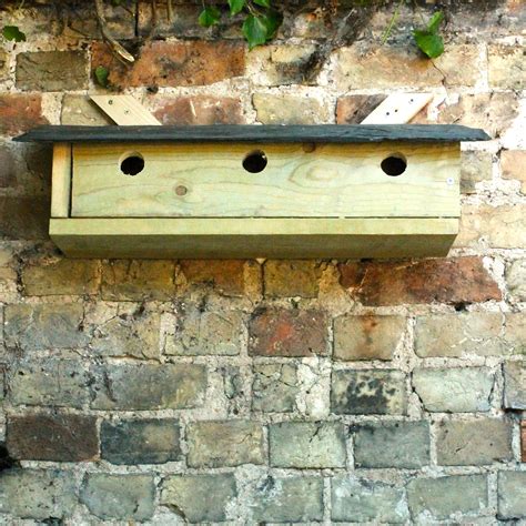 sparrow terrace bird houses ideas diy bird house plans bird house