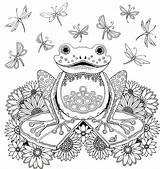 Coloring Pages Frog Forest Adult Sapo Printable Choose Board Books sketch template