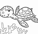 Turtle Coloring Pages Snapping Alligator Printable Getcolorings Getdrawings sketch template