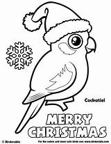Coloring Pages Christmas Cockatiel Birds Birdorable Cute Printable Cartoon Bird Drawing Sheets Aussie Wood Choose Board Tags sketch template