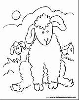 Lamb Coloring Pages Baby Lion Printable Getdrawings Drawing Getcolorings sketch template