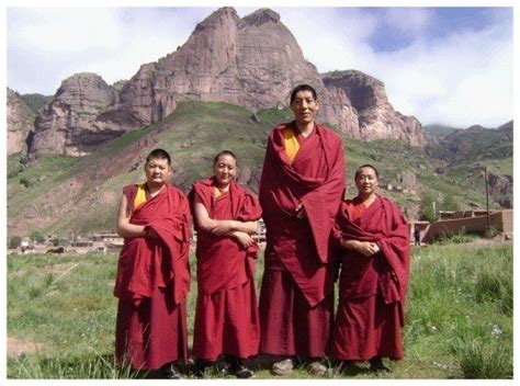 knew tibetans    tall