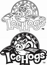 Blackhawks Coloringhome Icehogs Rockford Outlines Learning sketch template