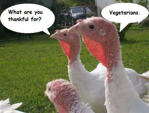 25 super funny thanksgiving memes that will make you smile