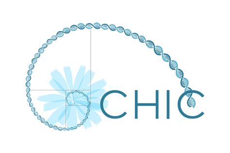 chic logo chic project