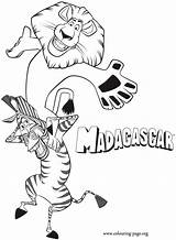 Madagascar Coloring Pages Alex Marty Printable Zebra Colouring Lion Kids Fun Having Cartoon Print Characters Animals Shoulders Color Related Kid sketch template
