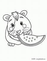 Cochon Guinea Coloriage Inde Hamster Meerschweinchen Cuy Ausmalbilder Enano Pigs Malvorlagen Coloriages Hellokids Yodibujo Mascotas Coloriage204 Ausmalen Porco Gatos Filhote sketch template