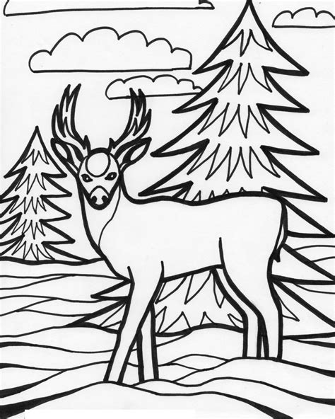 education  animal deer coloring pages