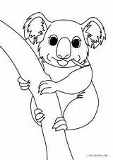 Koala Pages Coloring Kids Printable sketch template