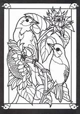 Coloring Pages Stained Glass Book Birds Bird Dover Letscolorit Abstract Beautiful Printable Adult Covers sketch template
