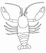 Crayfish Gambero Crawfish Disegno Colorare Lobster Starklx Third sketch template