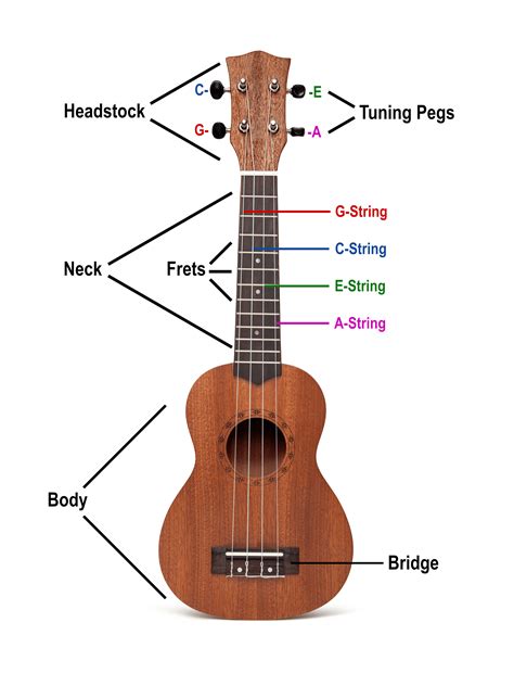 ukulele tuning guide ways  tune