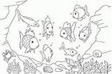 Coloring Fish Pout Pages Popular sketch template