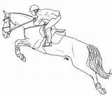 Jumping Horse Lineart Deviantart sketch template