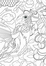 Coloring Pages Complicated Getdrawings Online sketch template