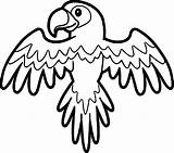 Parrot Coloring Wecoloringpage Spread sketch template
