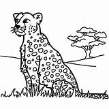 Coloring Leopard Pages Panther Printable Colouring Kids Animals Baby Choose Print Library Clipart Animal Popular Board Cat sketch template