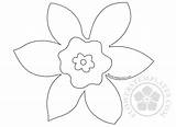 Daffodil Template Coloring Templates Pages Flowerstemplates sketch template
