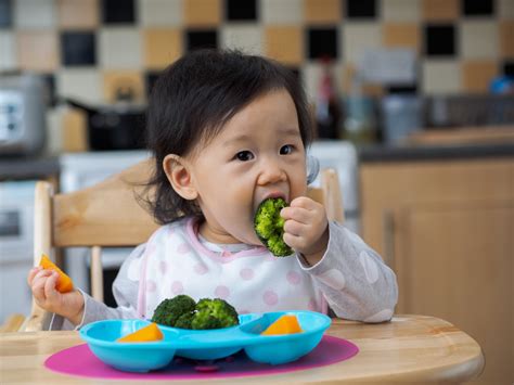 answering questions  baby led weaning healthway medical