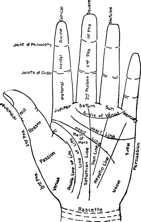 understanding palmistry and what your hands say about you exemplore