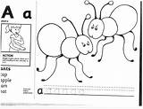 Jolly Phonics Worksheets Printable Kindergarten Letters Activities Printables Resources Learning Handwriting Alphabet Flashcards Choose Board Pixels Preschool sketch template