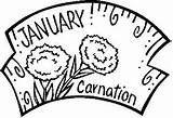 Coloring January Flower Pages Birthstone Carnation Printable Printablee sketch template