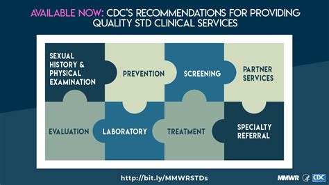 recommendations for providing quality sexually transmitted diseases