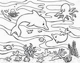 Mewarnai Laut Animados Binatang Marinos Acuaticos Marins Acuáticos Marin Monde sketch template