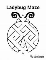 Maze Ladybug Mazes Museprintables Printable sketch template