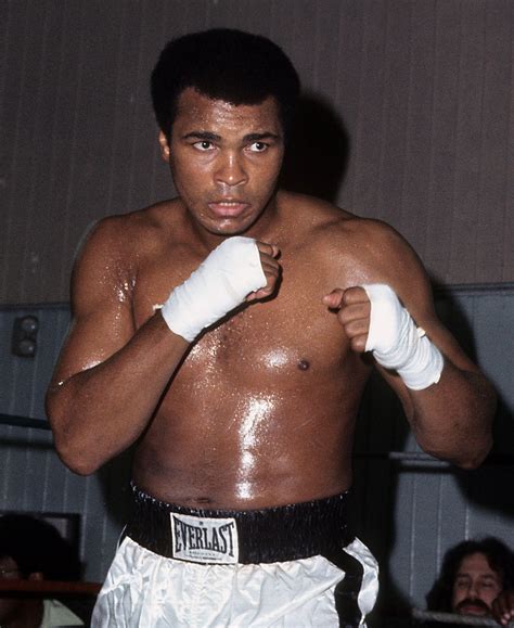 muhammad ali secured  release    hostages  iraq