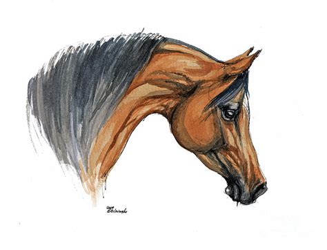 arabian horse head drawing  getdrawings