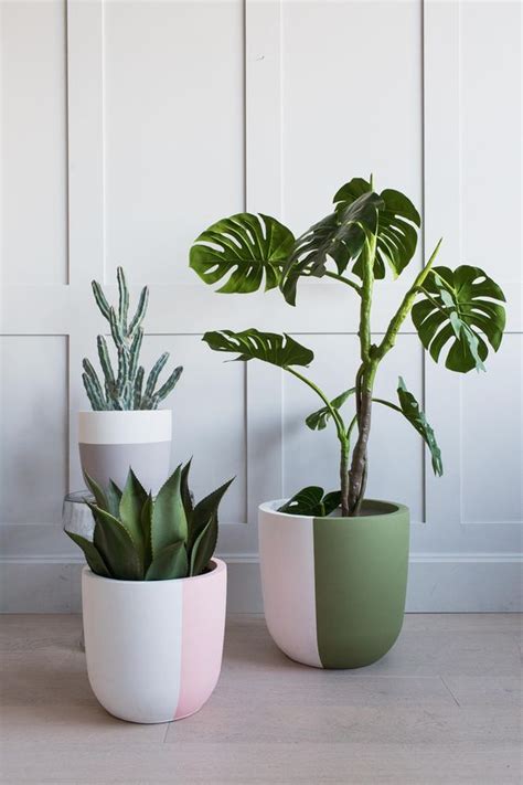 diy house plants modern decor ideas styleskiercom