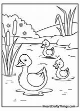Iheartcraftythings Ducks Ducklings sketch template