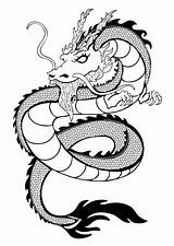 Drago Serpente Skizze Profilo Coloritura Schizzo Decorativo Siluetta Tatuaggio Schlange sketch template