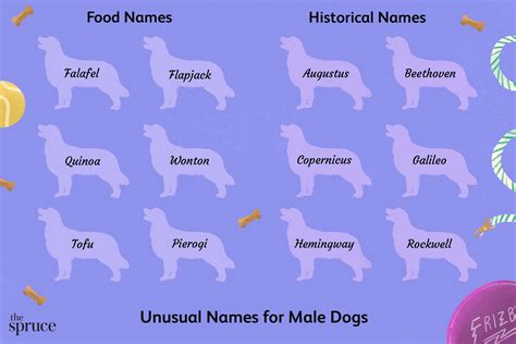 male dog names  rycca clemence