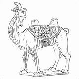 Camel Bactrian Sepulchral Tang sketch template