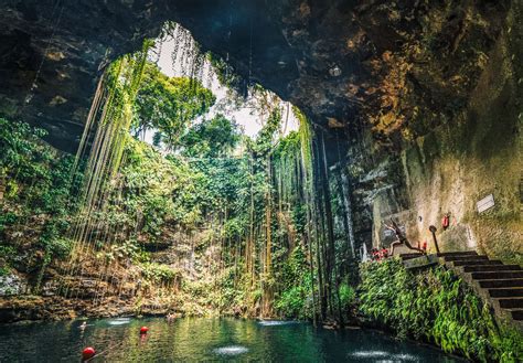 gorgeous mexican cenotes swimming  cancun cozumel  thrillist