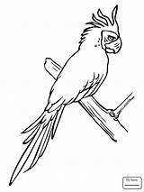 Macaw Coloring Pages Parrot Drawing Line Blue Flying Getdrawings Bird Coloringbay sketch template