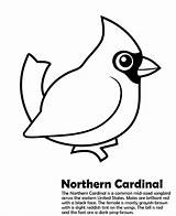 Cardinal Coloring Color Pages Northern Sheet Bird Printable Cardinals Template Animalstown Kids Animals Birds Book Sheets Print Animal Templates Stencil sketch template