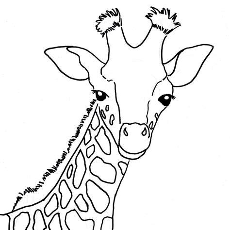 coloring pages  baby giraffes  getdrawings
