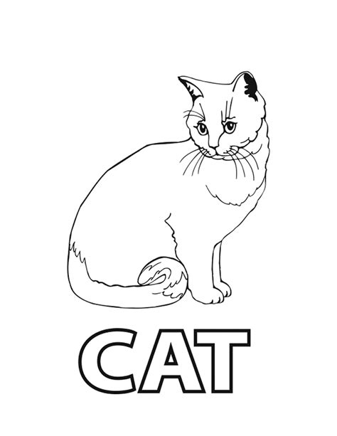 coloring picture  cat