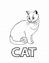 Cat Coloring Pages Color Printable Kids sketch template
