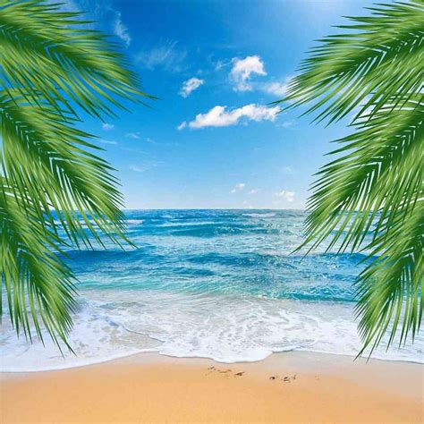 beautiful beach computer printed photography backdrop zjz  beach