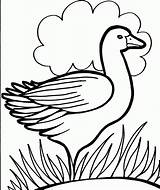 Coloring Pages Colouring Kids Duck Print Color Printable Drawing Duckling Bird Dippy Pre School 321coloringpages Activity Animal Clipart Use Search sketch template
