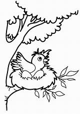Nest Coloring Bird Pages Robin Drawing Birds Kids Color Jump Clipart Want Printable Cartoon Baby Nests Getdrawings Draw Place Bestcoloringpagesforkids sketch template