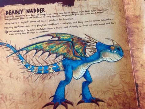 stormfly  deadly nadder   book  dragons    train