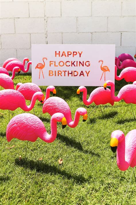 pink flamingo happy birthday images dikbud