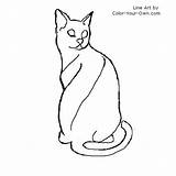 Cat Mau Egyptian Color Coloring Own Drawings Line sketch template